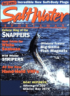 Saltwater Sportsman